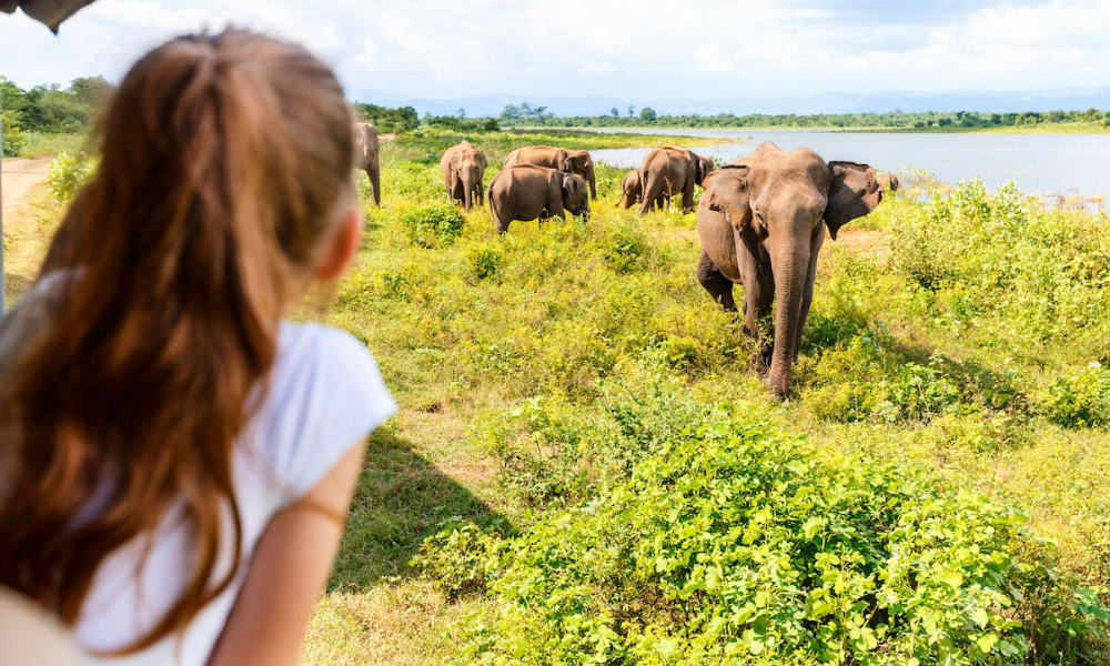 all top safari packages in tanzania 